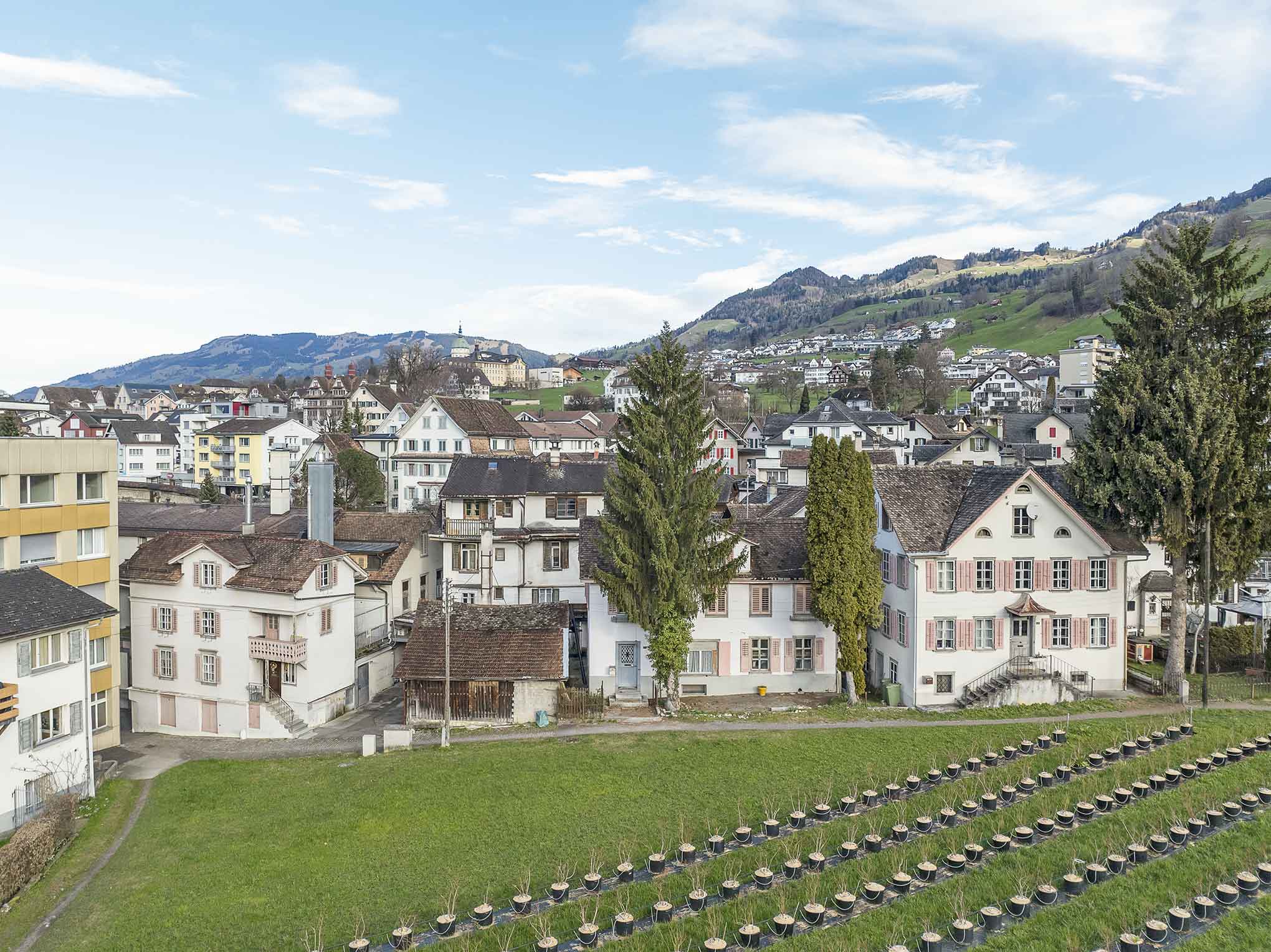 Das historische Ensemble vor dem Freiraum der Sagimatt (© Patrick Röösli) BESTAND Sagimatte